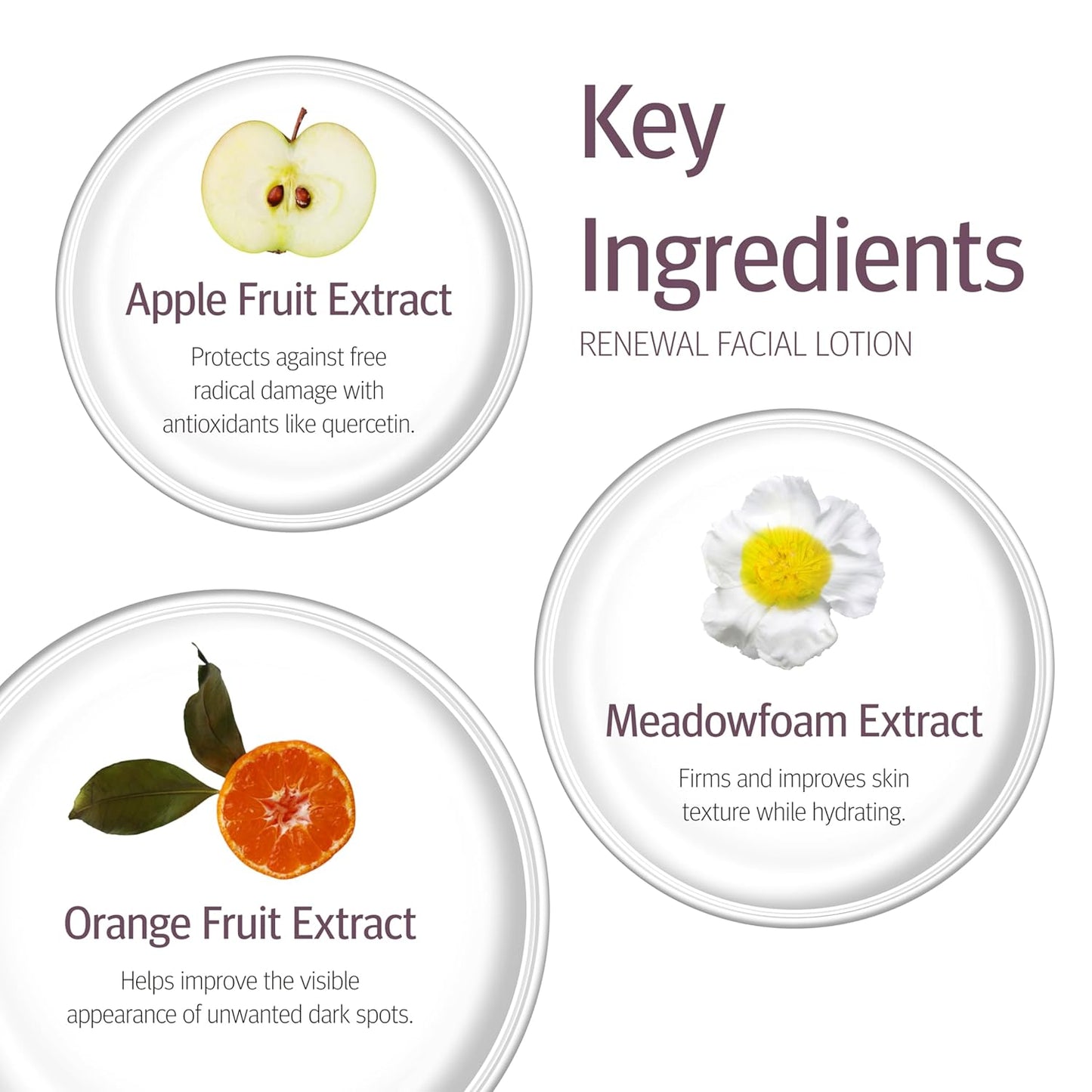 Epionce Renewal Facial Lotion - Hydrating, Anti-Aging Moisturizer for Normal to Combination Skin, For Fine Lines & Wrinkles, Dermatologist Skincare