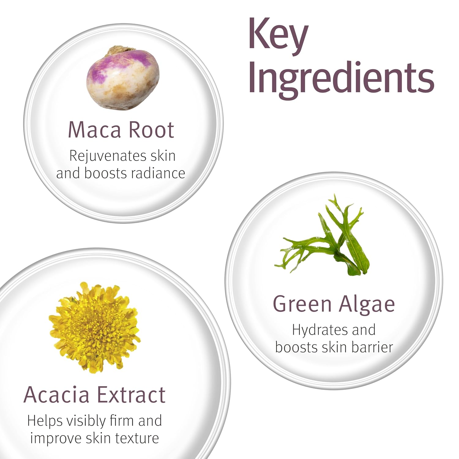 Epionce Intensive Nourishing Cream – Rich Anti-Aging Moisturizer for Face, Neck & Décolletage | Ceramides, Glycerin & Squalene | Targets Fine Lines, Dark Spots & Dryness | Dermatologist Skincare