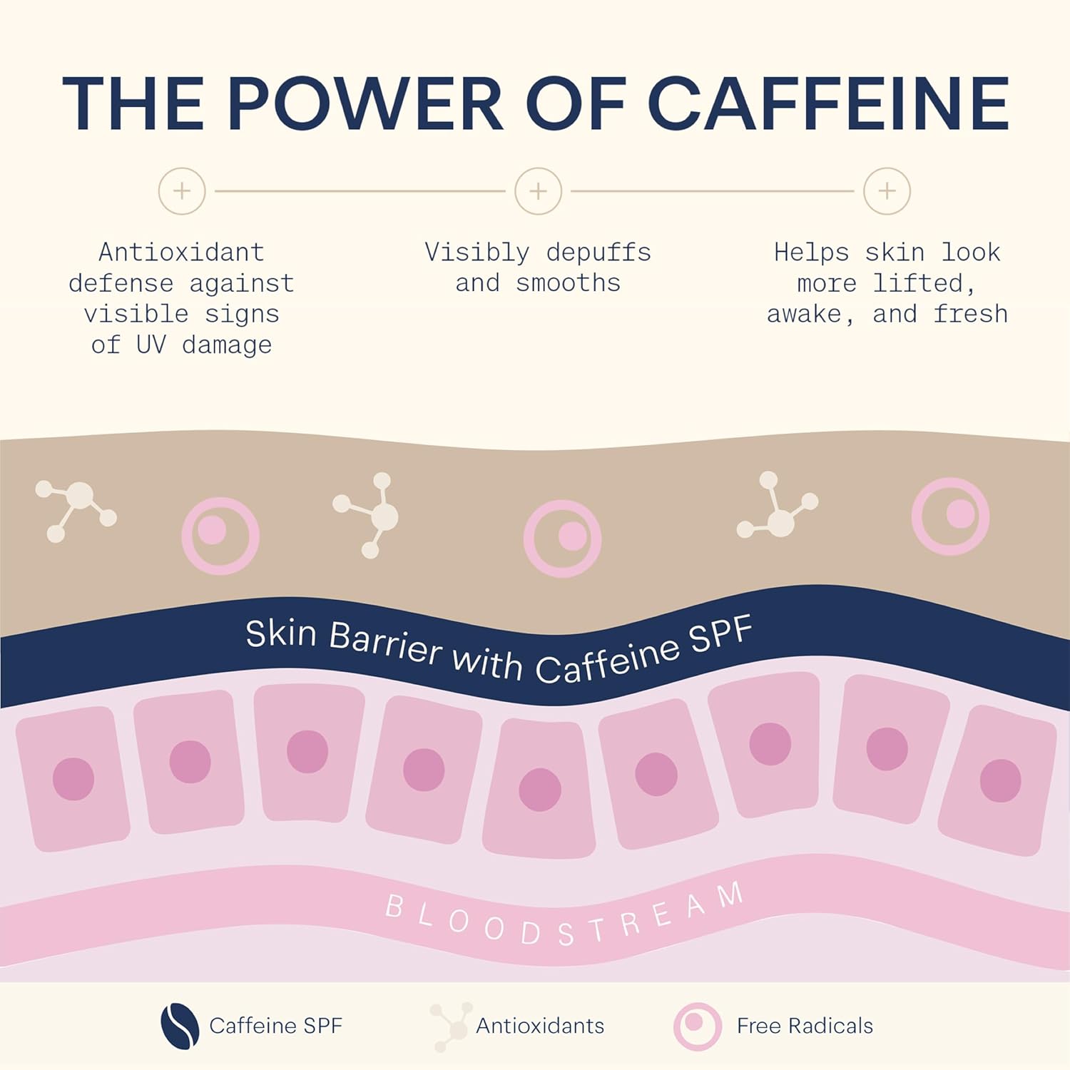 The Skinny Confidential Tinted Sunscreen, SPF 40 - Fragrance Free Face Moisturizer with No White Cast - Non-Greasy & Lightweight Caffeinated Mineral Sunscreen Lotion with Zinc Oxide & Titanium Dioxide